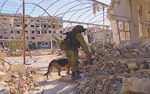 Zapadores rusos limpian de explosivos a ciudad siria de Alepo